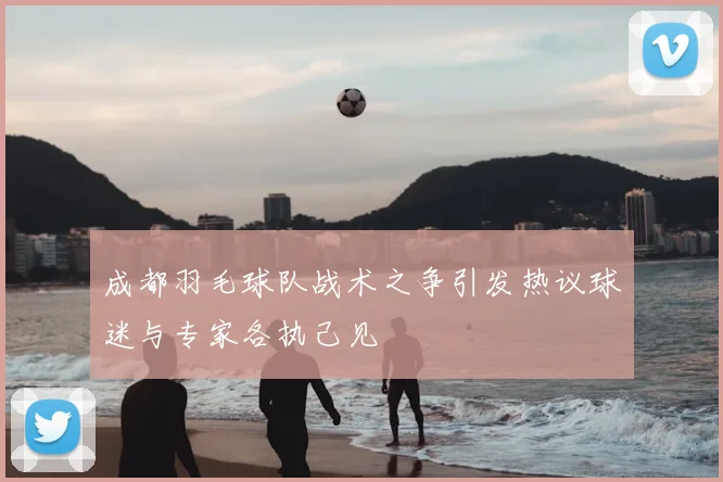 成都羽毛球队战术之争引发热议球迷与专家各执己见