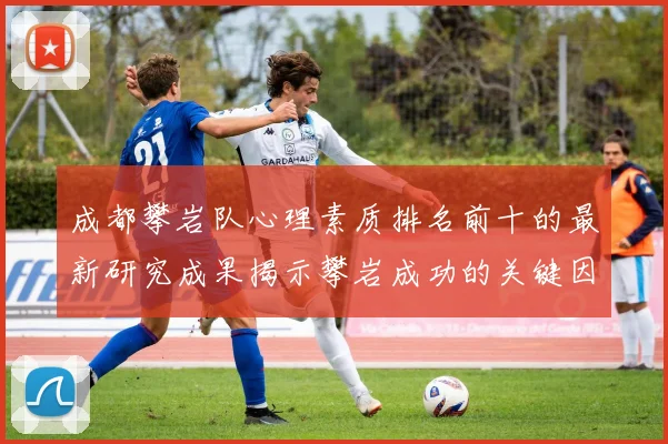 成都攀岩队心理素质排名前十的最新研究成果揭示攀岩成功的关键因素